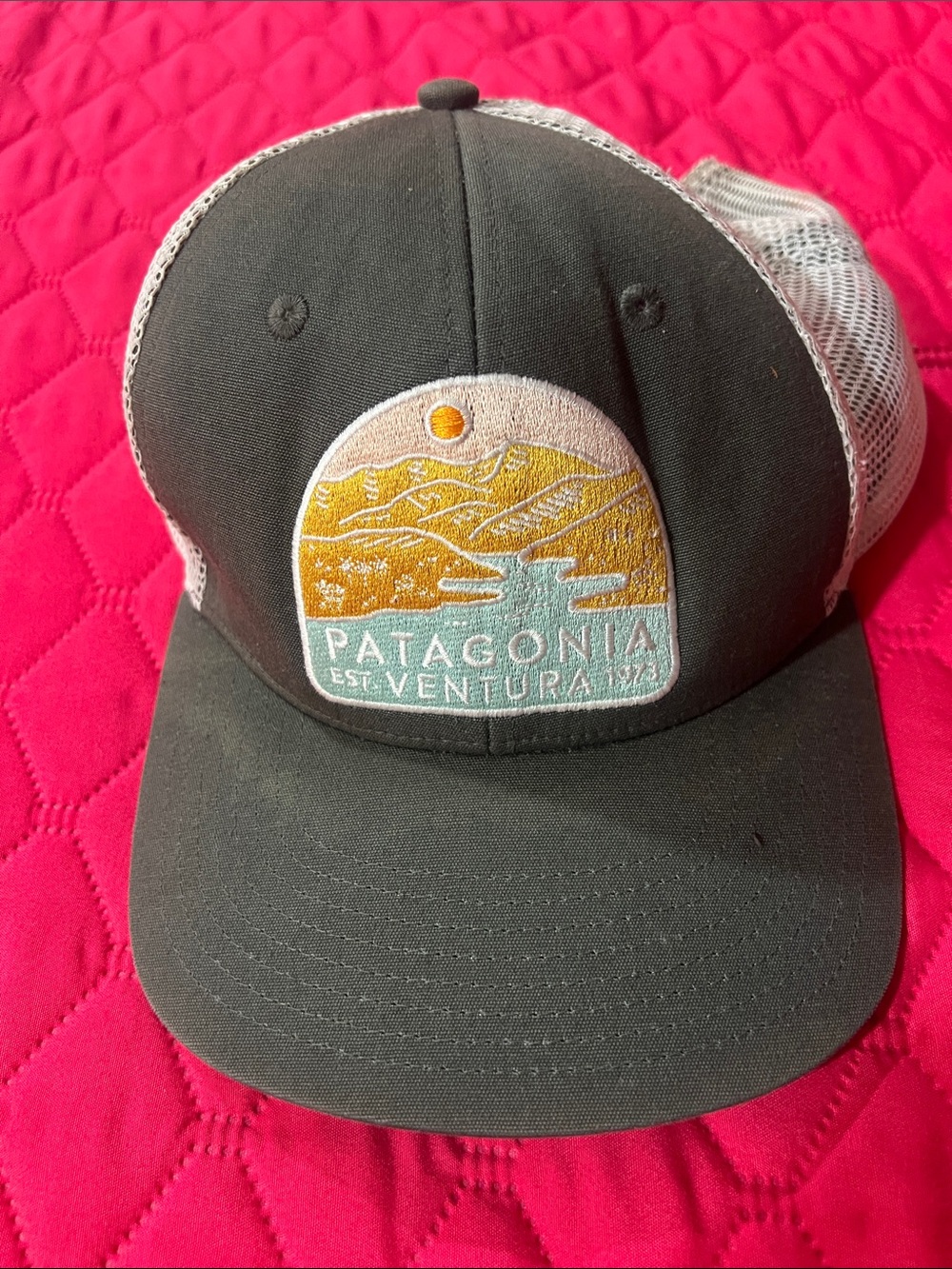 Patagonia Gray and White Mesh Trucker Hat with Sunset Patch